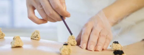 截屏2023-01-17 11.10.28